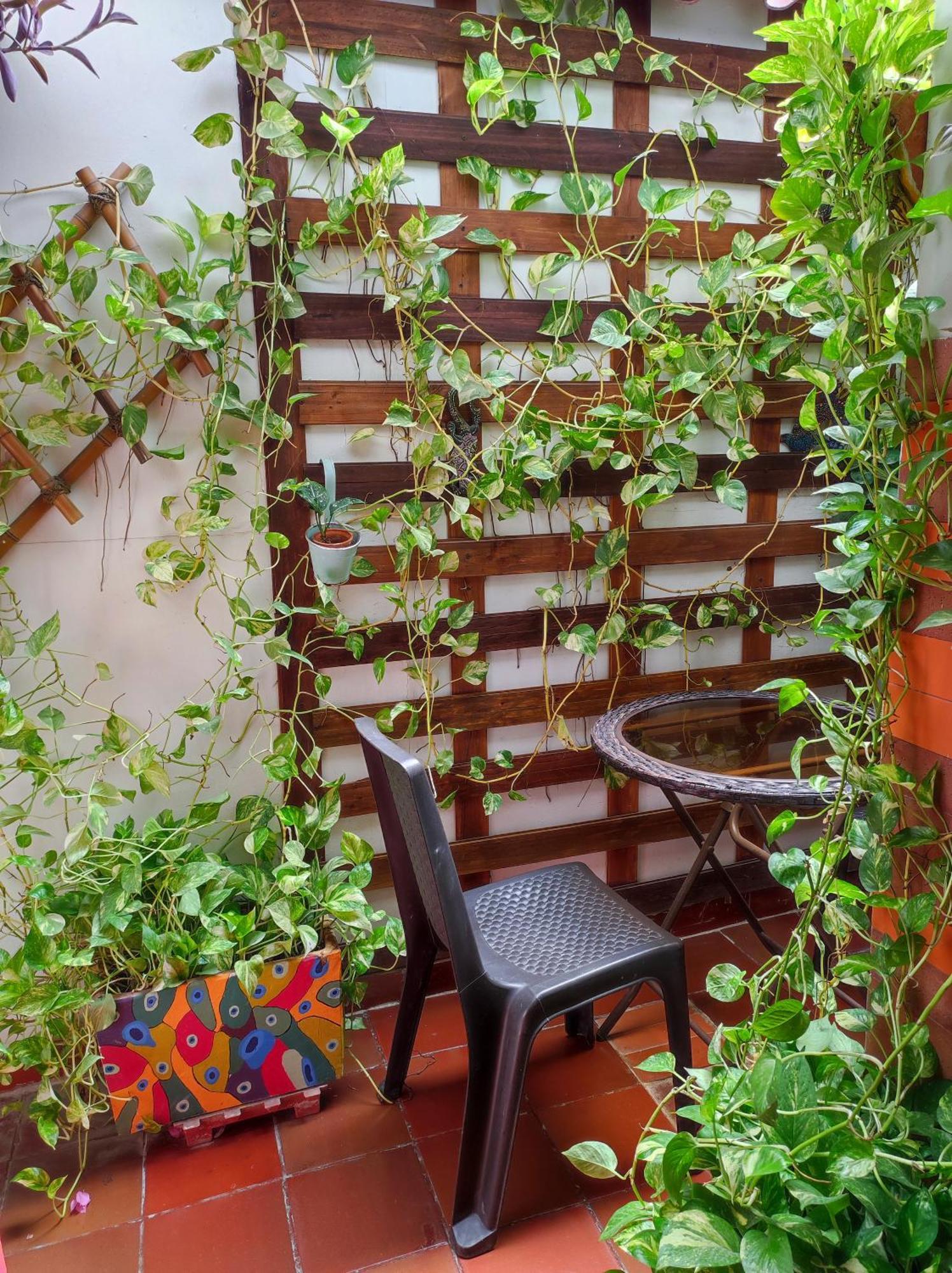 Homestay Balcones De Venecia *